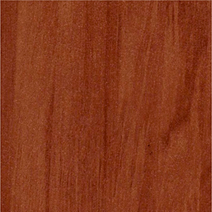 Lantai Vinyl 306
